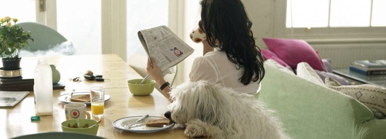 5 tipov pre čistú domácnosť s domácimi miláčikmi